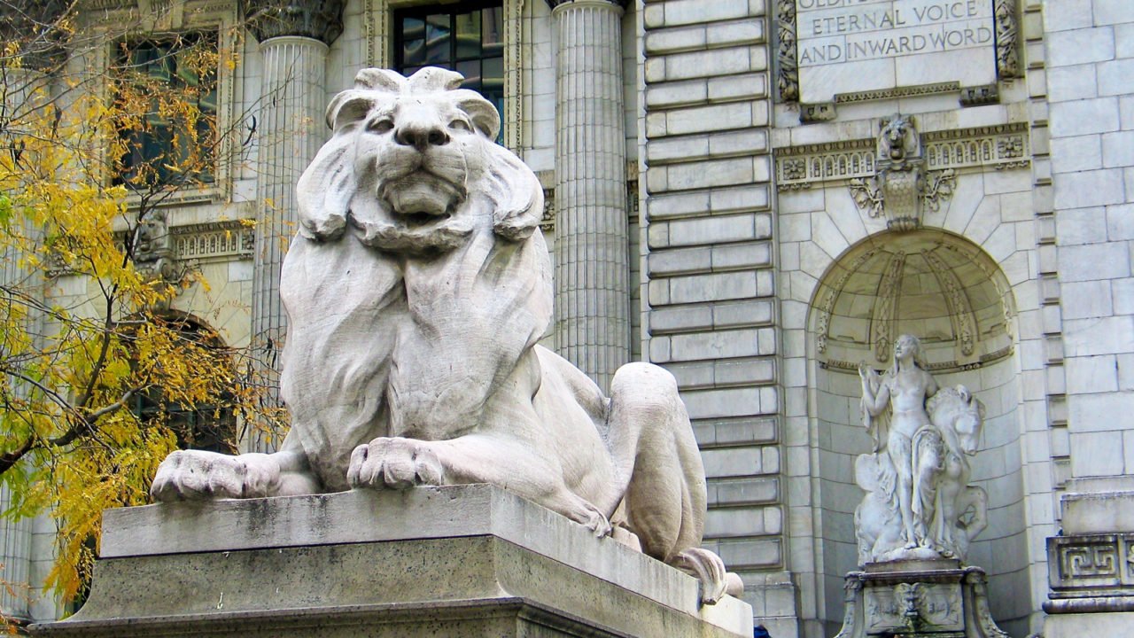 The Lions
